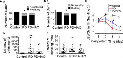 Effects of Intranasal Oxytocin on Pup Deprivation-Evoked Aberrant Maternal Behavior and Hypogalactia in Rat Dams and the Underlying Mechanisms